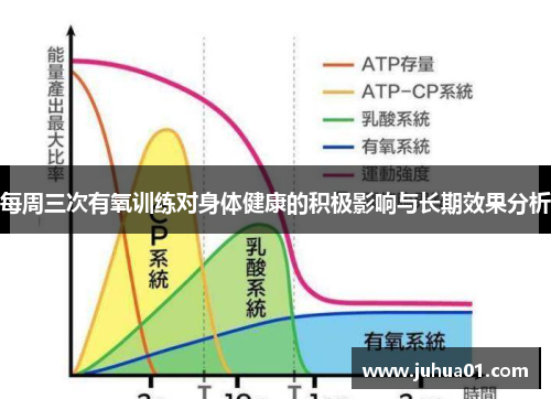 每周三次有氧训练对身体健康的积极影响与长期效果分析